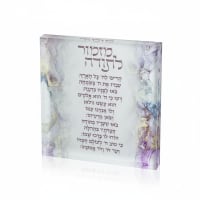 תמונה 3