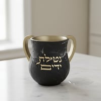תמונה 1