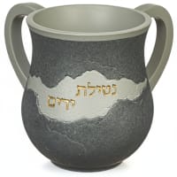 תמונה 3