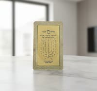 תמונה 1