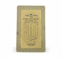 תמונה 3