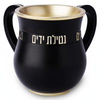 תמונה 3
