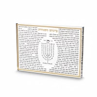 תמונה 3