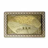 תמונה 3