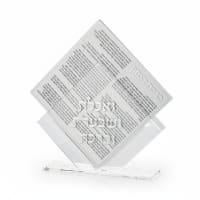 תמונה 3