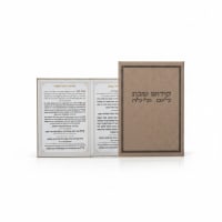 תמונה 3