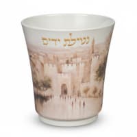 תמונה 3