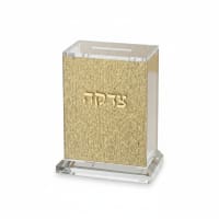 תמונה 3