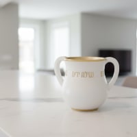 תמונה 1
