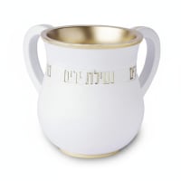 תמונה 3