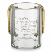 תמונה 3