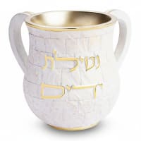תמונה 3