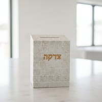 תמונה 1