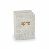 תמונה 3