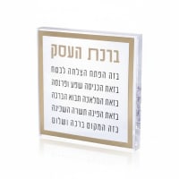 תמונה 3