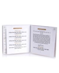תמונה 3
