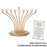 תמונה 1
