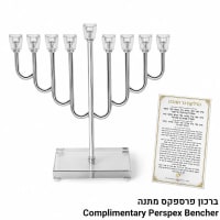 תמונה 1