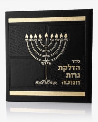 תמונה 1