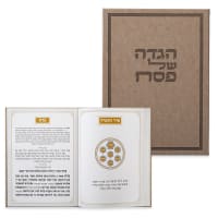 תמונה 2