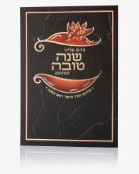 תמונה 2