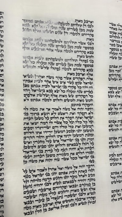 ספר תורה ספרדי 56