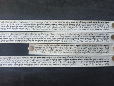 קלף תפילין כשר לכתחלה הרב דניאל 