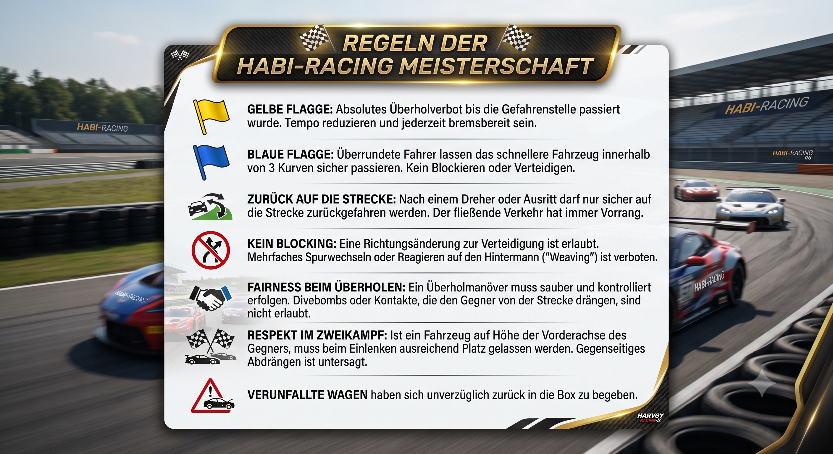 Regelwerk Meisterschaft