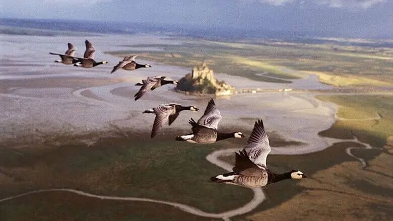 Il popolo migratore