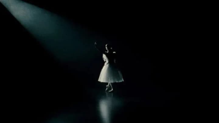 Black Swan
