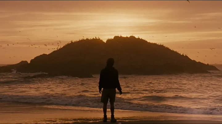 Into the Wild
