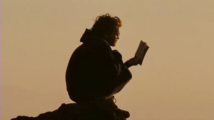 Into the Wild