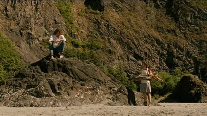 Into the Wild