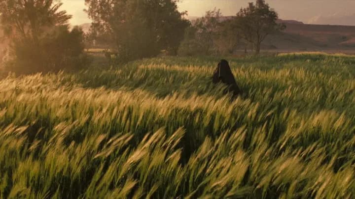 Kingdom of Heaven