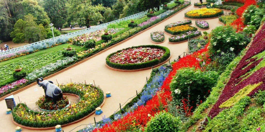 Things to do in Chandigarh-Leisure Valley Things to do in Chandigarh-Leisure Valley