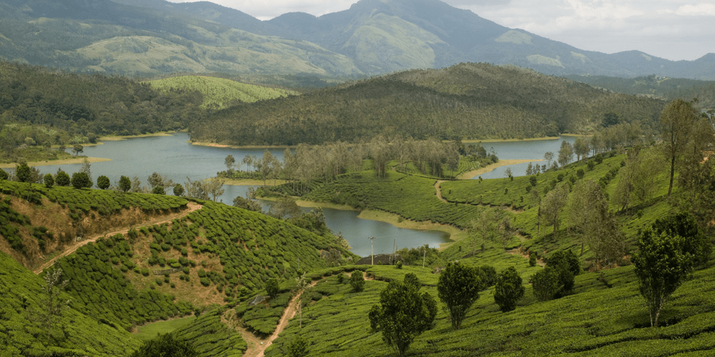 Road Trips from chennai- Yelagiri Road Trips from chennai- Yelagiri