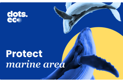 Dots.eco - Protect Marine Area CA