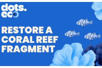 Dots.eco - Restore Coral Reefs BE