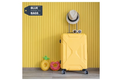 Blue Ribbon Bags Product Voucher MYR