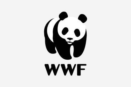 WWF-Light Up PHP
