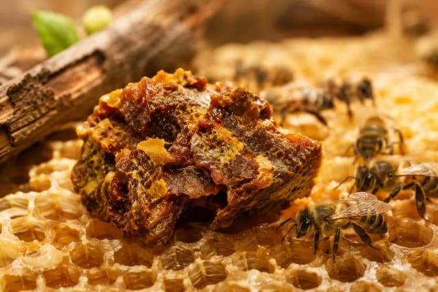 Les bienfaits de la propolis : tout ce qu'il faut savoir avant de commencer