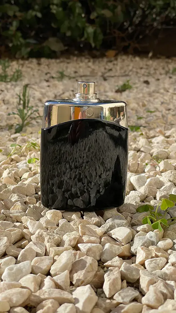 cosmechic parfum mont blanc