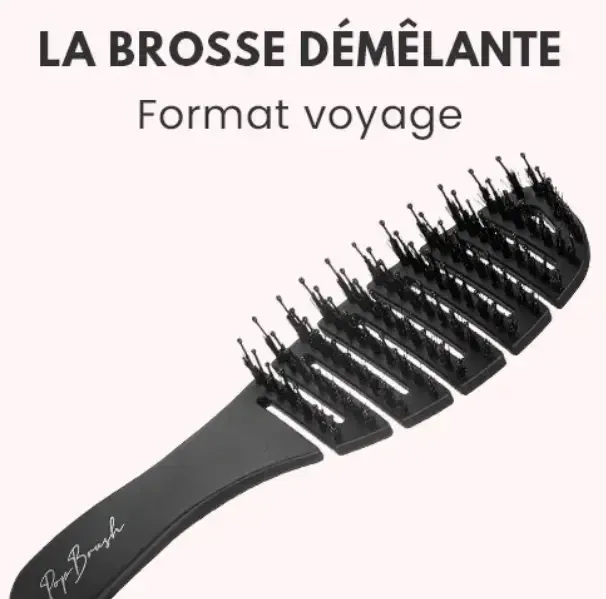 pop brush format voyage