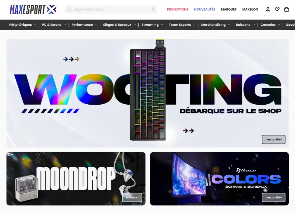 maxesport site web