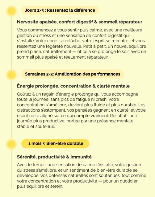 bonjour effets bonjour effets