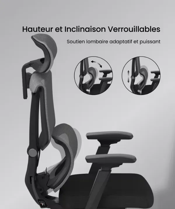 c7 soutiens lombaire