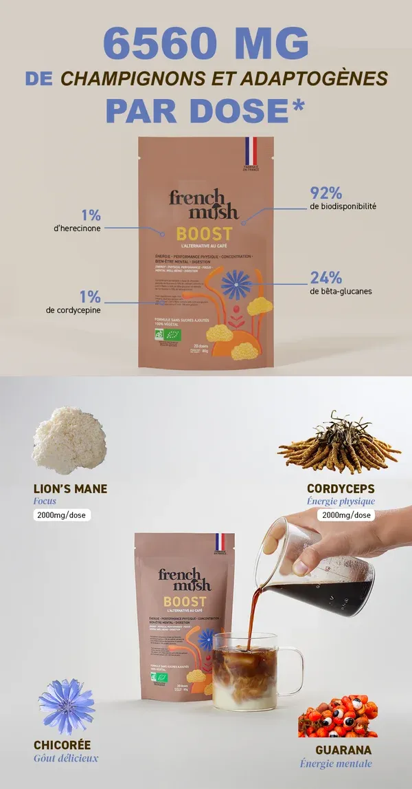 french-mush-boisson-boost-ingredients.webp