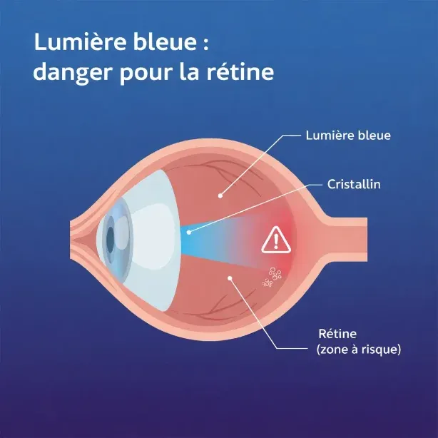 La lumière bleue, une menace directe pour la rétine