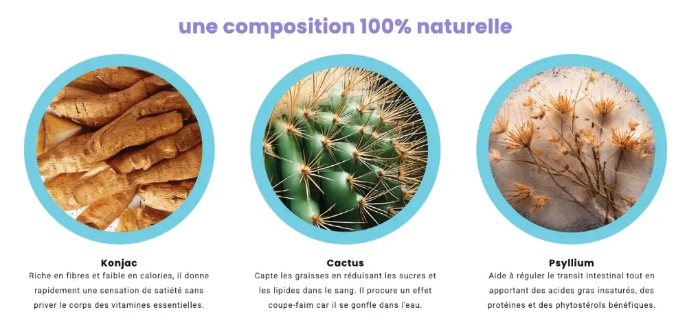 Les ingrédients du Magic Powder