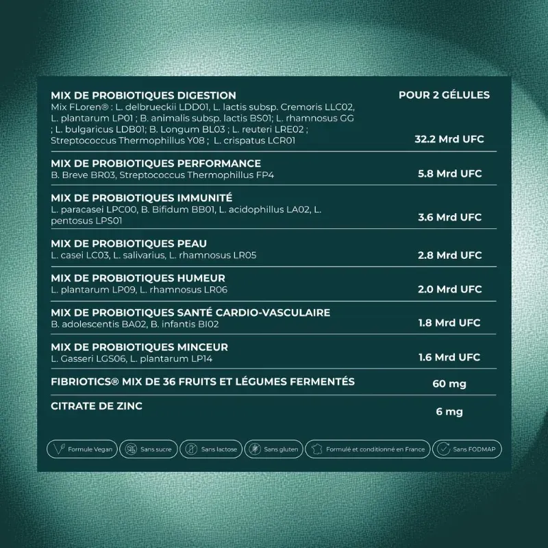 La composition du FS-3B